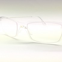 SPD-1  591  col 21